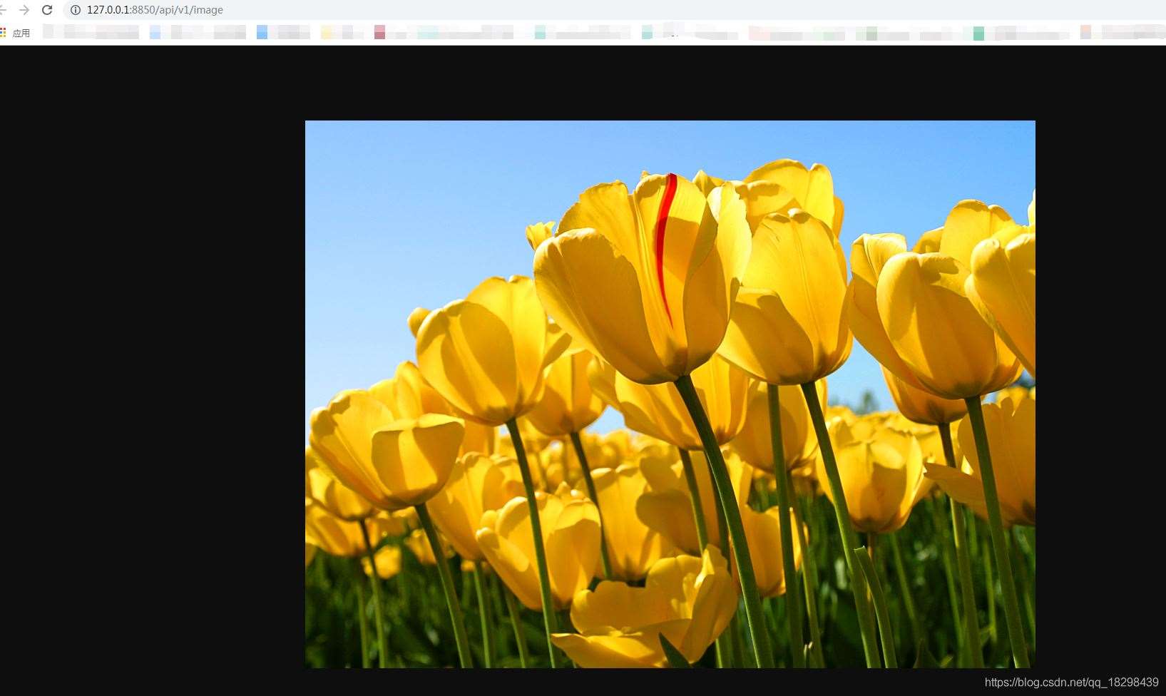 SpringBoot使用@ResponseBody返回图片的实现