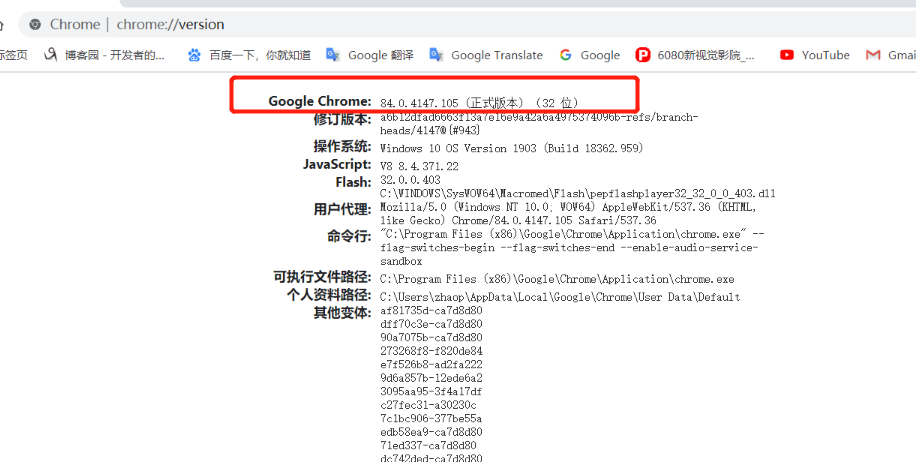 搭建 springboot selenium 网页文件转图片环境的详细教程