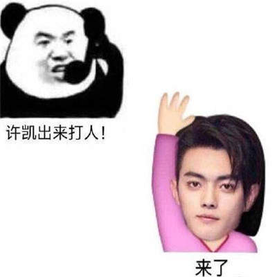 【抖音尔晴我劝你善良表情包】全套无水印分享