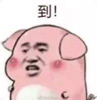 【抖音热门猪圈GIF表情包】全套高清无水印分享