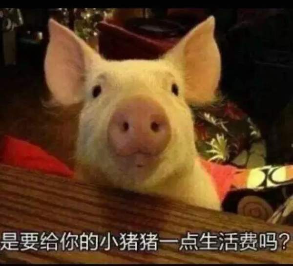 【抖音请选择扶贫方式表情包】高清无水印图片分享