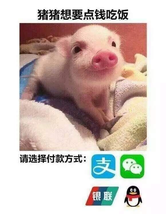 【抖音请选择扶贫方式表情包】高清无水印图片分享