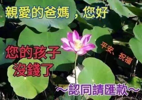 【抖音请选择扶贫方式表情包】高清无水印图片分享