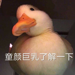 【抖音网红比心鸭子表情包】比心鸭子高清无水印图片分享