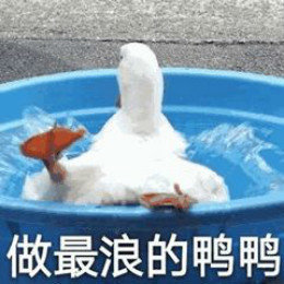 【抖音网红比心鸭子表情包】比心鸭子高清无水印图片分享