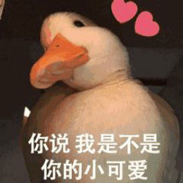 【抖音网红比心鸭子表情包】比心鸭子高清无水印图片分享