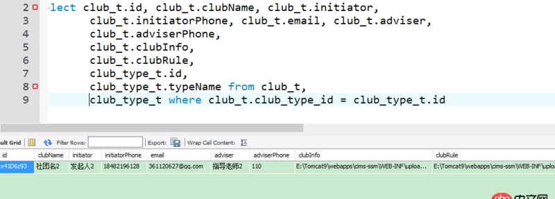 java - Mybatis查询数据库时出现查询getInt(）的错误