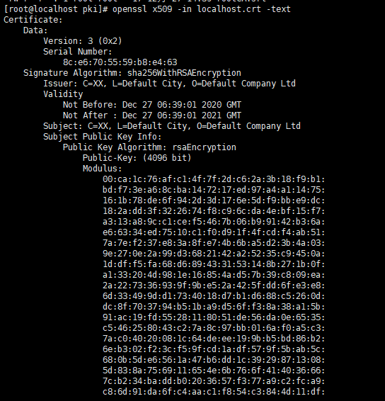 Spring Boot 实现https ssl免密登录(X.509 pki登录)