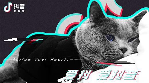 抖音脸盆拍照怎么拍  脸盆拍照教程分享