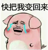 抖音傲娇生气变猪表情包大全分享