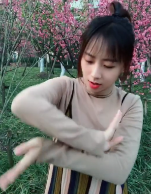 抖音离人愁手势舞教程