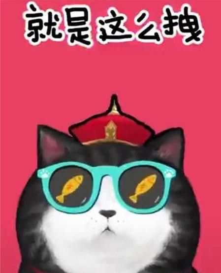 抖音我们喵星人是什么歌？抖音我们喵星人就是辣么拽歌词分享