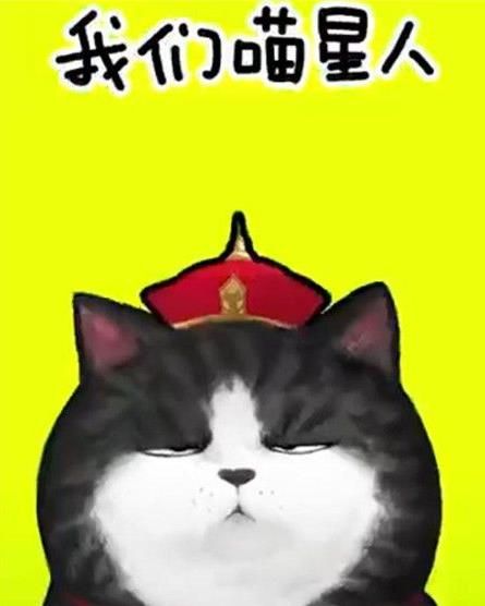 抖音我们喵星人是什么歌？抖音我们喵星人就是辣么拽歌词分享
