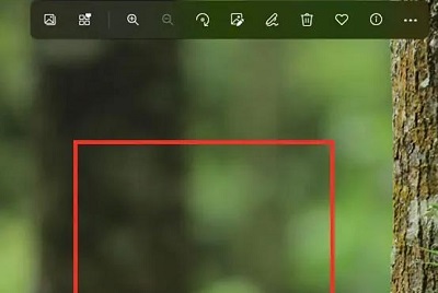 win11怎么压缩照片