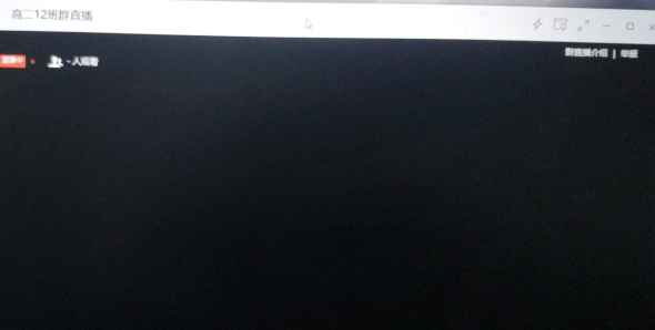 钉钉黑屏回放也是黑屏怎么回事