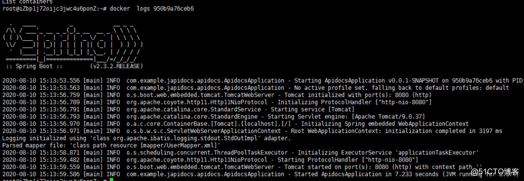 Spring Boot 打包上传Docker 仓库的详细步骤