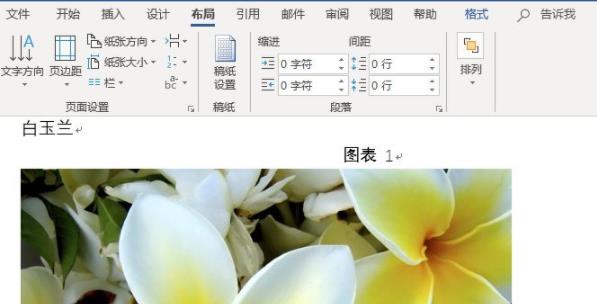 word图片统一调整大小方法