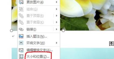 word图片统一调整大小方法