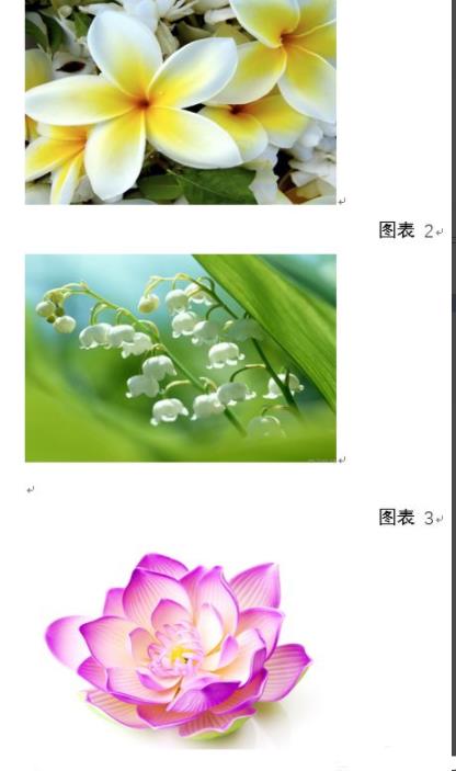 word图片统一调整大小方法