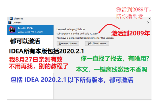 据说这个是可以撸到2089年的idea2020.2(推荐)