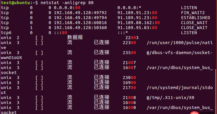 nginx这样是在运行吗？