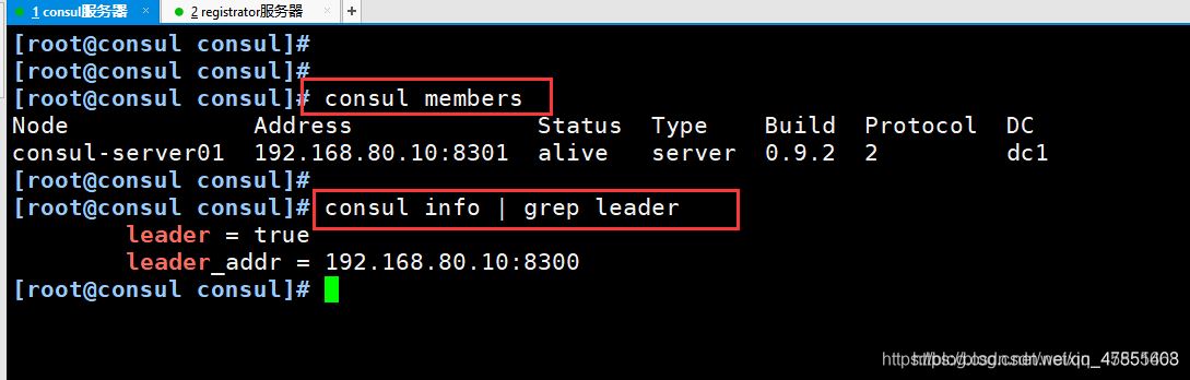 Docker consul的容器服务更新与发现的问题小结