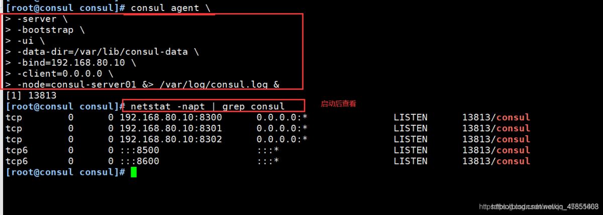 Docker consul的容器服务更新与发现的问题小结