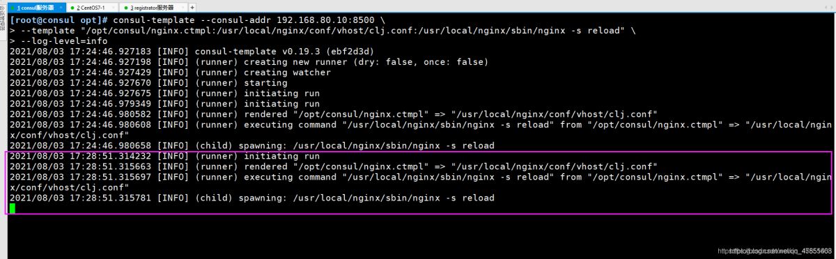 Docker consul的容器服务更新与发现的问题小结