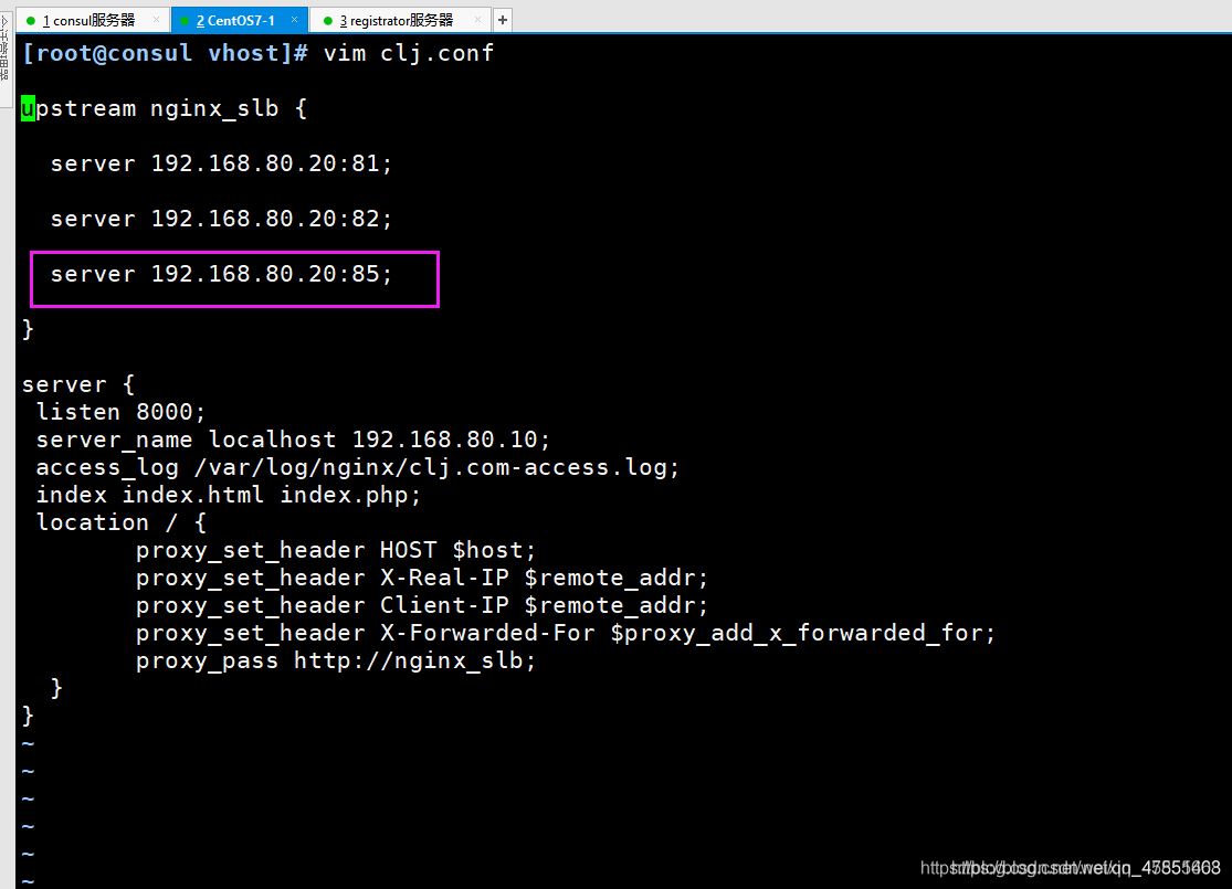Docker consul的容器服务更新与发现的问题小结