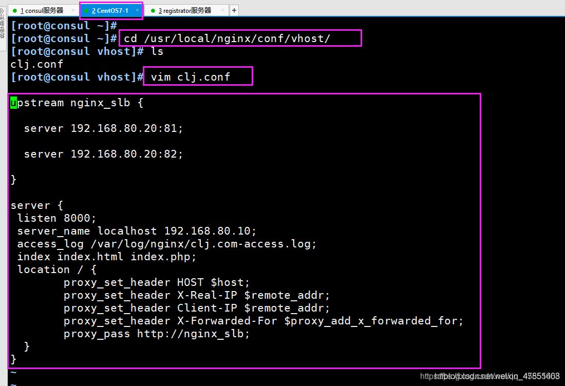 Docker consul的容器服务更新与发现的问题小结