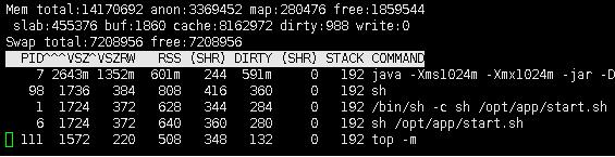 docker 查看jvm内存占用方式
