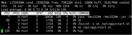 docker 查看jvm内存占用方式