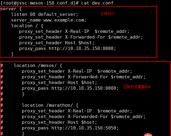 mesos - nginx反向代理配置问题
