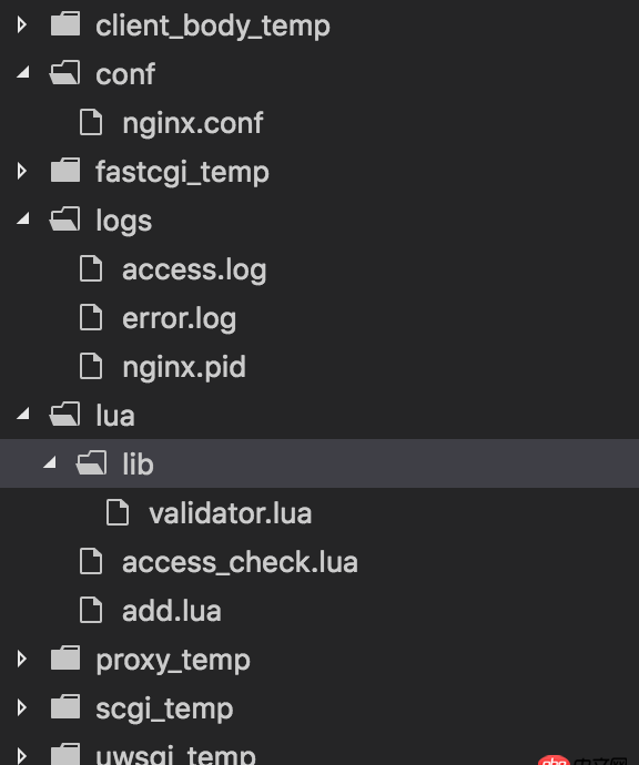 nginx - openresty无法使用require