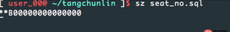 linux - mac夏iterm2配置sz rz无法下载文件