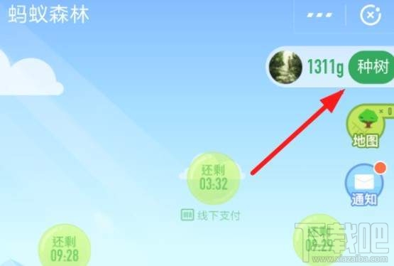 支付宝蚂蚁森林保护地怎么认领