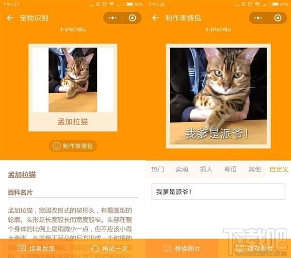 吸猫微信小程序推荐，人猫交流器让你家宠物更软萌可爱