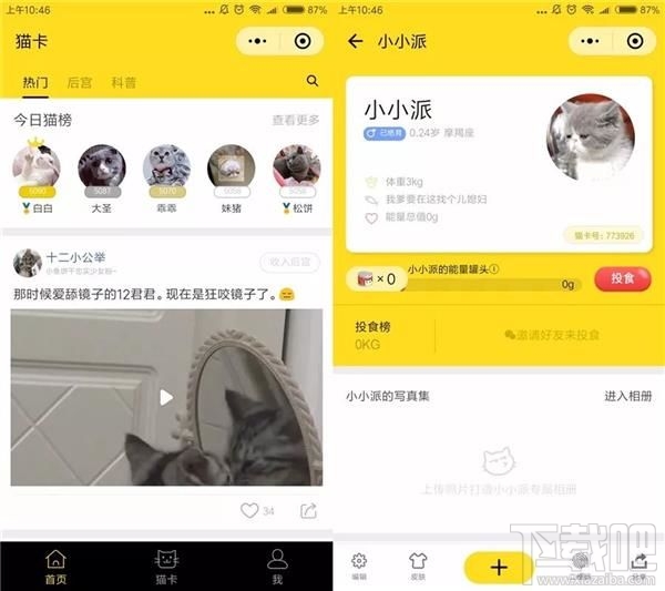 吸猫微信小程序推荐，人猫交流器让你家宠物更软萌可爱