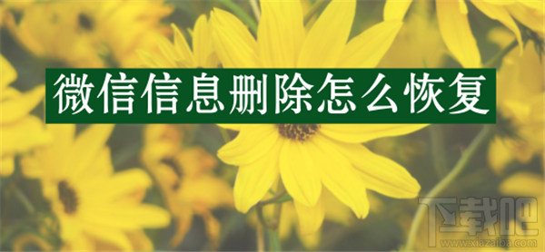 苹果手机微信信息删除怎么恢复?