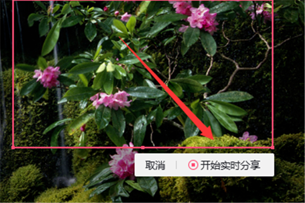 群课堂怎么分享屏幕