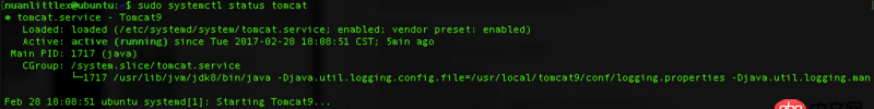 service - Ubuntu16 Tomcat9 设置开机自动重启时为什么起不来？