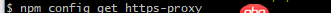 node.js - npm一直提示proxy有问题