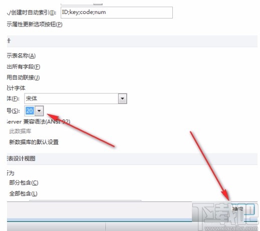 Microsoft Office Access修改代码字体大小的方法
