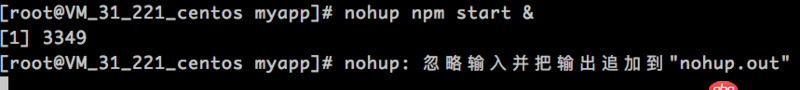 node.js - nodejs 如何在centos下后台运行，nohup和forever都不行呀