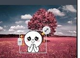 连我相机怎么使用?连我相机使用方法说明