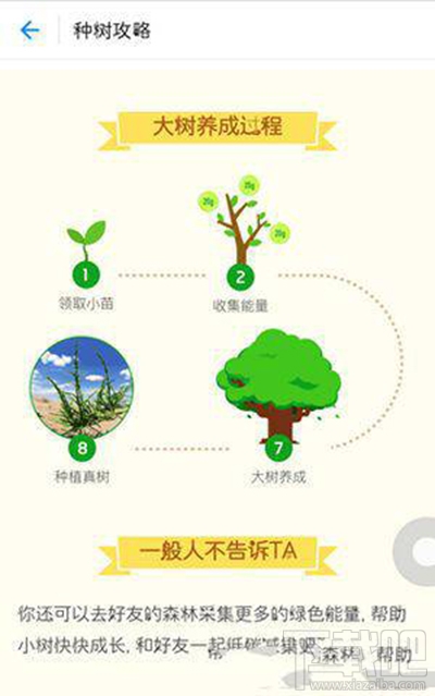 支付宝蚂蚁森林浇水办法？
