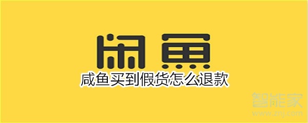 咸鱼买到假货怎么退款