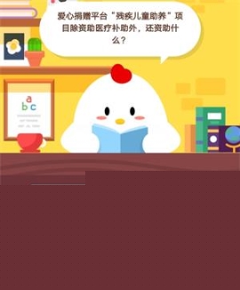 爱心捐赠平台“残疾儿童助养”项目除资助医疗补助外,还资助什么?