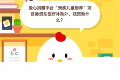 爱心捐赠平台“残疾儿童助养”项目除资助医疗补助外,还资助什么?