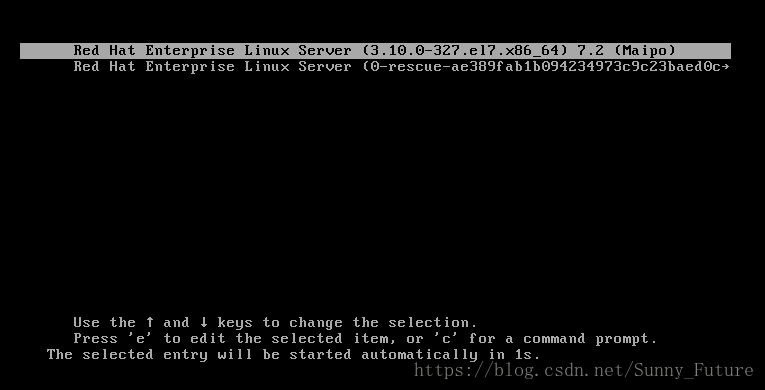 Linux系统开机无限重启的解决方案